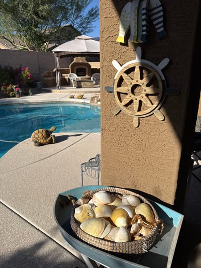 This is a medium shot, taken outdoors in Phoenix, Arizona, showing a patio with a swimming pool and various decorative items. In the foreground, a basket filled with seashells is placed inside a blue, boat-shaped container. To the left of the basket, a decorative turtle figurine is positioned on the edge of the pool deck. The swimming pool itself is a vibrant blue and appears to be in good condition.
In the mid-ground, two small turtle figurines are placed on the pool deck. Behind them, a covered patio area is visible, featuring an outdoor fireplace and seating. Lush green trees and a portion of a house are visible in the background.
The right side of the image features a stucco wall with nautical-themed decorations: a wooden ship's wheel and three stylized wooden fish. Sunlight casts shadows across the wall and the patio, indicating it is a bright, sunny day. The overall scene suggests a well-maintained outdoor living space designed for relaxation and entertainment.