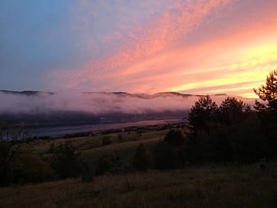 The image depicts a tranquil sunset over the city of Sarnitsa, Bulgaria. The sky is a canvas of soft pink and orange hues, with streaks of clouds catching the fading light. Below the vibrant sky, a thick layer of fog blankets the distant mountains, creating a dramatic contrast between the ethereal mist and the darkening landscape. In the foreground, a grassy hill slopes downwards towards a body of water, possibly Lake Sarnitsa, reflecting the warm colors of the sunset. Scattered trees and sparse vegetation dot the hillside, adding depth and texture to the scene. The overall impression is one of serene beauty and natural splendor.