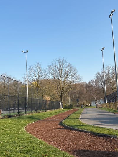 This image depicts an outdoor recreational area in Eeklo, Belgium, under a clear, bright blue sky. The scene is dominated by a curving reddish-brown wood chip path on the left, bordered by green grass. To the right of the wood chip path is a paved asphalt path or road. A tall black chain-link fence runs parallel to the wood chip path on its left, enclosing what appears to be a sports court. Partially visible text on a sign affixed to this fence reads "De Me..." and "Eur Fleet". Numerous deciduous trees, largely bare of leaves, populate the background, suggesting late winter or early spring. A prominent large tree stands near the center of the image, behind the fence, with a visible bird's nest in its upper branches. Several tall, grey light poles with multi-fixture luminaires are strategically placed throughout the area, including two on the right side of the asphalt path and one behind the fence on the left. Further down the asphalt path, a small white building and a grey public waste bin are visible. No individuals or animals are present in the frame, and no discernible actions or interactions are occurring.