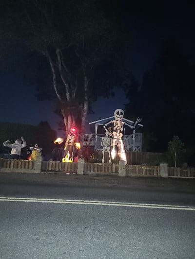 An outdoor night scene in Lakewood, United States, depicts a residential property adorned with illuminated Halloween decorations. In the foreground, an asphalt road with two solid white dividing lines spans the width of the image. Behind the road, a low wooden fence with intermittent concrete-colored pillars separates the street from a yard display. The yard features several large, static figures: on the right, a towering white skeleton figure, seemingly lit from within, stands erect. To its left, a smaller, unlit skeleton is positioned. Further left, a figure with a red glowing head or eyes emits orange, flame-like illumination from its base. To the far left, a white-clad figure with raised arms, possibly a zombie or ghost, is visible. Various smaller, amber-orange lights, resembling fire or lanterns, are scattered among the decorations. In the background, a light-colored structure with a porch and railing is partially visible. Dominating the upper background is a large, dark deciduous tree with multiple trunks, silhouetted against the dark night sky. The overall scene is dimly lit by the decorative elements.