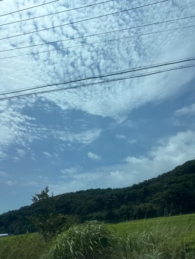 The image captures a serene landscape with a dominant blue sky filled with scattered white clouds. Several black utility wires stretch horizontally across the upper portion of the frame, obscuring parts of the sky. Below the sky, a densely forested hillside slopes downwards, characterized by dark green, irregular tree formations. In the foreground, a lush green field is visible, with tall, wispy grasses creating a soft texture. The overall scene suggests an outdoor environment, likely in a rural area. The provided location, Jeongdang-ri, South Korea, indicates this is a view of the natural landscape within that region. No people or specific actions are depicted.