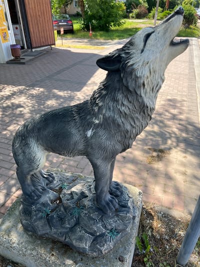 A statue of a wolf howling stands on a stone pedestal on a brick walkway. The wolf statue is dark gray and white, with its head tilted back and mouth open. It is surrounded by greenery and trees. In the background, there is a building with a wooden facade and a brown car parked nearby. The scene is outdoors, under natural sunlight, with shadows cast on the ground.