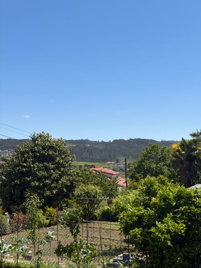 The image shows a landscape in Felgueiras, Portugal. In the background, a tree-covered hillside is visible with houses clustered on the slope. In the foreground, a fenced garden with various plants is visible. The sky is clear and blue. Power lines cut through the middle of the image.