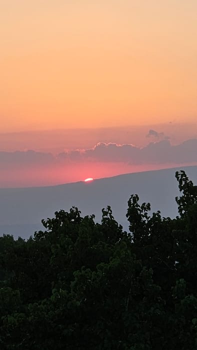An outdoor scene captures a sunset over distant terrain, viewed from the city of Dzoraghbyur, Armenia. The upper sky displays a gradient from light orange to a darker orange and purplish-pink near the horizon. Centered in the upper-middle section, a brilliant red-orange semi-circular disc of the sun is visible, appearing to set behind a dark, undulating, bluish-gray silhouette of a distant mountain range or elevated landmass. Above and around the setting sun, several horizontally elongated clouds, predominantly purplish-pink, are present. The foreground, occupying approximately the bottom two-fifths of the image, consists of dense, dark green foliage, likely treetops, heavily shadowed against the twilight sky. No individuals, animals, or man-made structures are discernible within the frame.