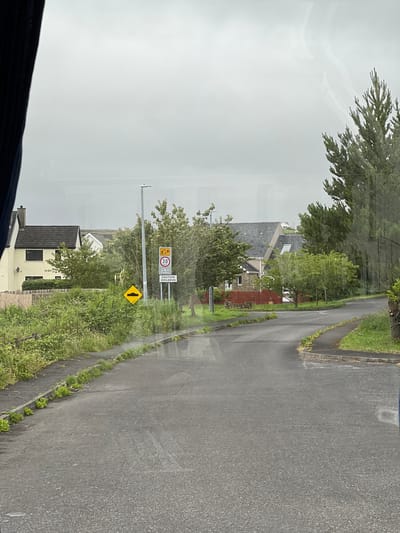 The image depicts a residential street in Meenaniller, Ireland. The road is asphalt, with a curb and a narrow strip of grass separating it from a paved walkway. Lush green vegetation lines the left side of the road, with a wooden fence visible in the background. Several houses with pitched roofs are scattered throughout the scene, interspersed with trees and shrubs. A street light stands tall on the right side of the road. Traffic signs are present, including a speed limit sign indicating 30 km/h, a warning sign for a speed bump, and a sign cautioning about children. The sky is overcast, suggesting a cloudy or rainy day. The image appears to be taken from inside a vehicle, as evidenced by the reflection on the glass and the dark curtain on the left side.