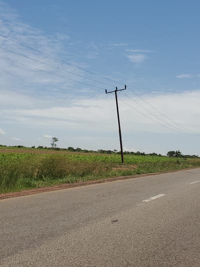 This image shows a rural roadside scene under a cloudy sky. A paved road with a white dashed line runs diagonally from the bottom right to the middle left of the frame. To the left of the road, a field of green crops stretches towards the horizon, bordered by a line of trees and vegetation. A single utility pole with three overhead wires stands prominently in the middle ground, extending into the sky. The overall environment suggests an agricultural area in the vicinity of Pankshin, Nigeria.