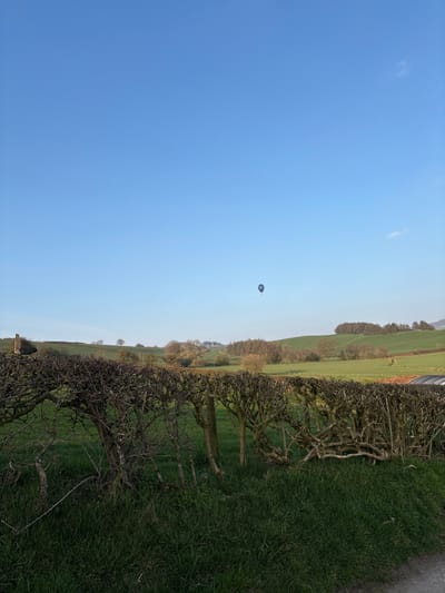 A rural landscape in Shelve, United Kingdom, is depicted under a clear, bright blue sky with minimal cloud cover. In the foreground, a dense, bare hedgerow, supported by several visible wooden posts, runs horizontally across the lower third of the frame, separating grassy fields. Beyond the hedge, rolling green hills extend into the midground and background, covered in grass and dotted with a mix of bare deciduous trees and clusters of darker coniferous trees. A stone structure, possibly a ruined building, is partially visible on a distant hill to the far left. Centrally positioned in the upper portion of the sky, a dark-colored hot air balloon, appearing mostly black or dark blue with a circular light-colored emblem or marking, is aloft. No individuals are present.