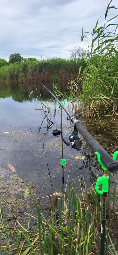 A fishing rod is set up on a bank next to a body of water covered in algae and lily pads. The rod is resting on two green supports, one of which is attached to a metal pole stuck in the ground. A fishing reel is attached to the rod. Tall reeds and grass line the water's edge, and a dense line of greenery forms the background. The sky is overcast. The scene is likely in or around Hetmanivka, Ukraine, given the context. There are no people visible.