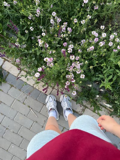 In Kotovo, Russia, a person stands on a paved walkway adjacent to a dense patch of wildflowers. The walkway is composed of rectangular grey pavers. The person is wearing light blue denim shorts, white socks, and white athletic shoes with grey accents. Their torso is covered by a burgundy garment. The wildflowers are a mix of light pink and purple blossoms amidst green foliage. The overall scene depicts an outdoor setting, likely a park or garden area within the city.