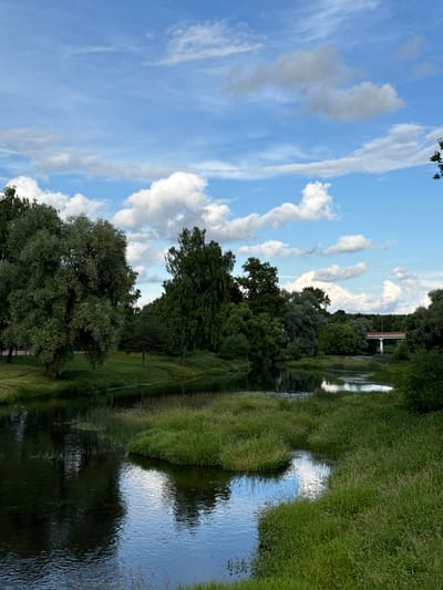 A scenic, vertical photograph captures a tranquil river flowing through a lush, green landscape under a bright blue sky dotted with fluffy white clouds. The river's surface reflects the sky and surrounding trees, creating a mirror-like effect. On the right bank, tall, vibrant green grass grows densely, giving way to a line of trees further back. The left bank is also lined with trees, some appearing large and mature, with a few smaller ones interspersed. In the distance, a bridge with a light-colored structure is visible, spanning the river. The overall scene suggests a peaceful, natural setting, likely during the daytime on a pleasant day. The lighting indicates it could be late afternoon or early evening, given the soft quality of light and the shadows. The location is identified as Vereya, Russia. No people or specific activities are depicted, making it a serene landscape.