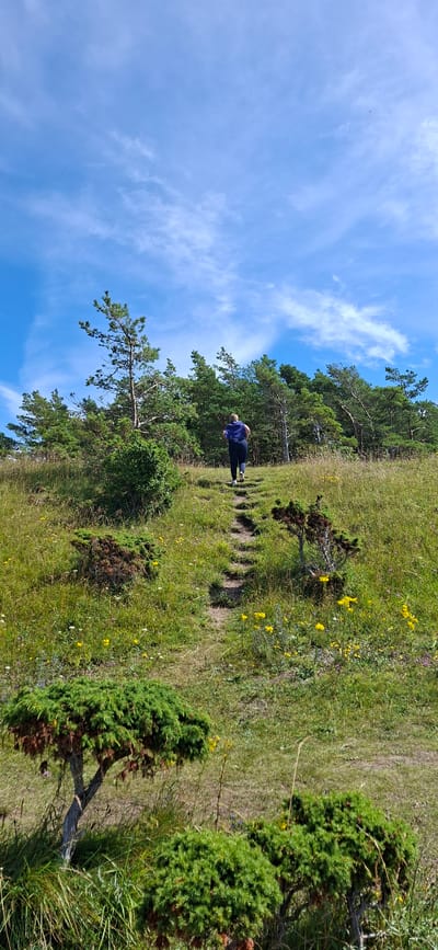 A person is walking up a dirt path through a grassy hill. The person is wearing a dark purple top and dark pants and is viewed from behind. The path is lined with green grass, yellow wildflowers, and some small evergreen trees. A dense forest is visible on the upper part of the hill, behind the person. The sky is blue with scattered white clouds. The scene appears to be located in Panga, Estonia.