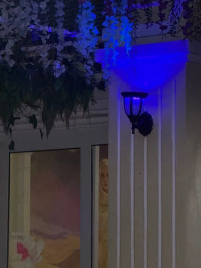 The image depicts a nighttime scene in Ngũ Hành Sơn Ward, Vietnam, illuminated by artificial blue light. A segment of a building facade is visible, featuring light-colored vertical panels on the right side. A black, decorative wall-mounted lantern with a cage-like design is affixed to this facade, emitting a strong blue light that casts upward onto an overhang. Above, dark green foliage and clusters of white and purple artificial flowers hang, also bathed in the blue illumination. To the left, two dark-framed glass panes, likely part of a window or door, are visible. Through the left pane, an interior space shows a large mural or painting with a landscape featuring a sky gradient from purple to orange/yellow. A white sign or decal with the word "STUDIO" in white and a pink graphic is affixed to the glass or visible behind it. Through the right pane, partially obscured by the vertical panels of the exterior, is a framed artwork or poster depicting the face of a woman wearing a light-colored head covering, looking forward. No live people are present; the woman is an image.