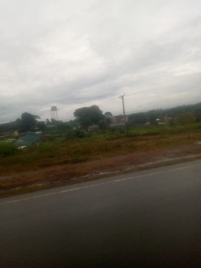 The scene depicts an outdoor landscape in Muguga ward, Kenya, under an overcast sky. In the immediate foreground, a dark grey asphalt road, appearing damp, traverses the lower portion of the frame. A faded white continuous line marks the road's edge. Adjacent to the road is a reddish-brown dirt shoulder, transitioning into a strip of unmaintained green and brown grasses and low vegetation.

The midground features a prominent wooden utility pole, from which multiple power lines extend horizontally across the image. Below these lines and beyond the initial strip of vegetation, various structures are visible, including several buildings with dark green corrugated roofs and other light-colored roofs, situated amidst dense green trees and bushes. A tall, light-colored metal water tower with a cylindrical tank at its apex is positioned in the left-midground, rising above the surrounding foliage.

The background shows a continuation of dispersed buildings and extensive tree cover, receding towards the horizon beneath a uniformly grey, cloudy sky. No individuals, vehicles, or specific activities are discernible within the frame.