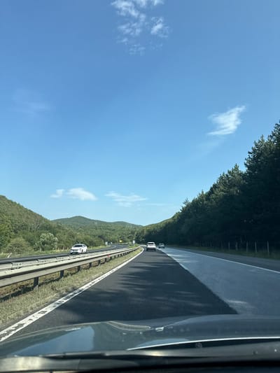 The image shows a highway scene in Dolna Vasilitsa, Bulgaria. The view is from the perspective of someone driving, looking forward. The highway is paved and has white lane markings. On the left side of the highway, there is a metal guardrail, followed by a grassy shoulder and then a wooded hillside. The hillside is covered in green trees and vegetation, with some scattered larger trees. In the distance, rolling green hills are visible under a clear blue sky with a few wispy clouds. On the right side of the highway, a dense forest of dark green trees runs along the road. Several cars are visible on the highway, driving in the same direction as the viewer. The overall environment is natural and rural, with the highway cutting through a forested and hilly landscape.