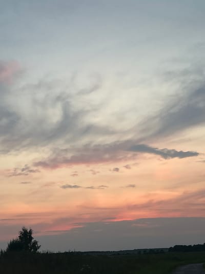 The image shows a dusky sky with streaks of pink, orange, and gray clouds over a silhouetted landscape of trees and fields. A lone, dark tree stands prominently on the left side of the frame. The horizon is dark and indistinct, suggesting either late evening or early morning. The overall scene is a natural landscape, likely rural, with no clear indication of urban structures or human activity. The location provided, Abushkovo, Russia, suggests this is a view of the Russian countryside.