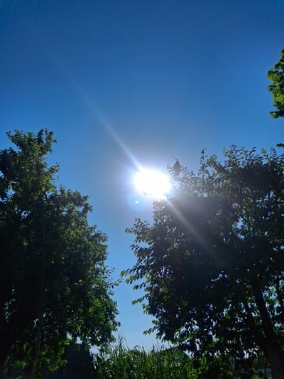 The image shows a bright sun shining in a clear blue sky, with sunbeams radiating outwards. Two large trees with lush green foliage are visible on the left and right sides of the frame, partially obscuring the sky. The lower part of the image shows tall green grass and the roof of a building, suggesting an outdoor setting, possibly in a rural or suburban area. There are no people visible in the image. The sun is positioned in the upper center of the frame, creating a lens flare effect. The overall impression is a sunny day with good visibility. The location is specified as Жмураўскі сельскі Савет, Belarus.