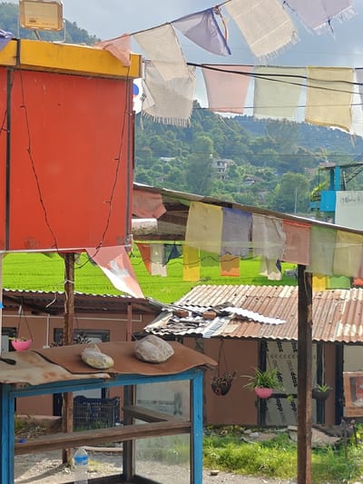 The image depicts an outdoor scene in Tharpu, Nepal, characterized by a vibrant red structure on the left, topped with a yellow canopy and a light fixture. Prayer flags, predominantly white with some colored variations, are strung across wires against a bright sky, some appearing worn. Below the red structure, a lush green field of rice paddies stretches into the background, where rolling, tree-covered hills rise under a hazy sky.
Several small, simple buildings with corrugated metal roofs are visible, interspersed with vegetation. One building features an orange flag with a white cross. Hanging plants in pink and dark containers add touches of color to the scene. In the foreground, a rustic blue-framed structure with a weathered brown surface holds two stones. A plastic bottle of water rests on a lower shelf of this structure. A dark plastic crate is visible behind the structure. The overall impression is of a rural or semi-rural setting in Nepal.