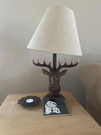 The image shows a table with a lamp that has a deer head as its base. The lamp has a beige lampshade. Next to the lamp is a small book with a drawing of a person on it. The book is titled "Grumpy old man." There is also a black decorative candle holder with a white candle in it. The table appears to be made of wood. The background is a plain wall. The scene is indoors, likely in a home. The lighting suggests it is daytime, as natural light seems to be present. There is no indication of weather or a specific time of day beyond daytime. The overall mood is calm and domestic. The text on the book is clearly visible and readable.