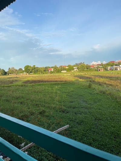 This image depicts an outdoor scene in Geulanggang Teungoh, Indonesia. A wide expanse of green grass, some of which appears waterlogged, dominates the foreground and midground. The grass is textured with variations in height and color, suggesting natural growth or perhaps a field undergoing agricultural development. In the background, a line of trees separates the field from a residential area. Several houses with red and brown roofs are visible amongst the foliage. A tall antenna or communication tower stands out against the sky on the left side of the residential area. The sky above is a pale blue, with scattered white clouds. In the immediate foreground, a portion of a dark green railing is visible, suggesting the viewpoint is from a balcony or elevated structure. The lighting indicates it is likely late afternoon or early evening, with soft sunlight casting shadows and highlighting the textures of the landscape. No people are visible in the image.