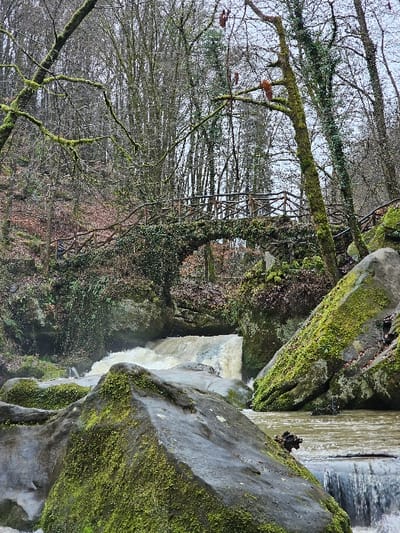 This image captures a forested river scene in Waldbillig, Luxembourg. The foreground features large, dark gray boulders extensively covered in vibrant green moss. A turbulent river with light brown, frothy water flows through the scene, forming multiple cascades and small waterfalls around the rocks. In the midground, a stone arch bridge with rustic wooden railings spans the river. The bridge structure is heavily overgrown with green moss and ivy. One individual is discernible standing on the left side of the bridge, facing right. To the right of the bridge, a wooden pathway or set of stairs with railings ascends the riverbank, also partially covered in moss. The background is dominated by a dense forest of mostly bare deciduous trees, with some evergreen foliage visible. The sky is overcast, contributing to a muted, damp ambient light.