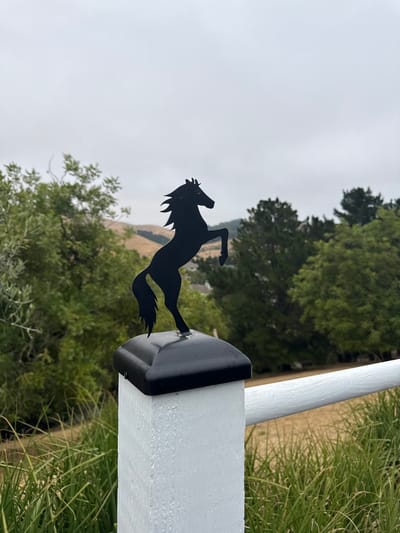 This image features a silhouette of a horse jumping. The horse is black and appears to be made of metal. It is attached to a white post, which has a black cap on top. The post is leaning slightly to the right. In the background, there are lush green trees and a slightly overcast sky. The overall impression is of a rural or semi-rural setting, possibly a ranch or equestrian facility. The image is taken from a low angle, looking up towards the sky and the horse silhouette. There is no text visible in the image. The weather appears to be overcast, suggesting it might be a cloudy day. The location context is Moraga, United States of America.