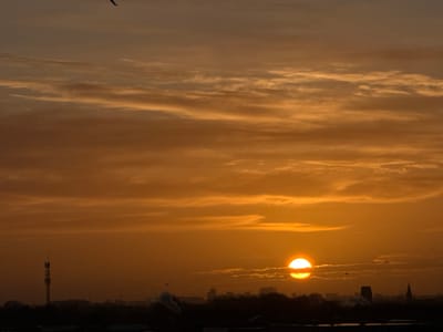 The image shows a sunset over Maasdijk, Netherlands. The sky is filled with orange and yellow clouds, with the sun visible near the horizon. The silhouette of a city skyline is visible in the distance, including a tall tower on the left. A few birds are flying in the sky. Steam rises from the horizon.