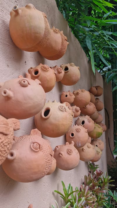 This is a close-up, eye-level, vertical shot of a wall decorated with multiple handcrafted terracotta pufferfish sculptures. The wall itself is a light tan, textured surface, likely stucco or concrete. The pufferfish are arranged in staggered rows and clusters, their rounded bodies and distinct facial features – bulging eyes, puckered mouths, and spiky dorsal fins – facing in various directions. Some have small, dark holes that appear to be the mouths, while others have protruding snout-like openings. The terracotta has a natural, unglazed finish, ranging in color from light beige to a warm, reddish-brown, with some showing subtle variations in tone and texture, including some with a speckled pattern around their sides.
In the upper right and far right of the image, lush green foliage, likely bamboo, cascades down, providing a natural backdrop. The lighting suggests it is daytime, with soft light illuminating the sculptures and casting subtle shadows. In the lower right, a few small, spiky green plants with reddish-purple accents are visible, suggesting the wall may be part of an outdoor garden or courtyard setting. The overall impression is one of whimsical, artisanal decoration.
This scene was photographed in the garden of a resort or private residence in Mae Rim, Thailand, as indicated by the distinctive bamboo growth and the style of the terracotta art commonly found in the region. There are no people or animals present in the image, and the focus is solely on the decorative elements mounted on the wall.