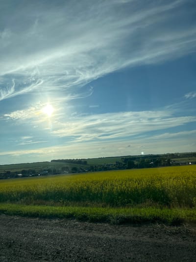 This image depicts a rural landscape in Ulukulevo, Russia, captured during daylight hours. The scene is divided into distinct sections: a vast, blue sky filled with wispy, white clouds, and the terrestrial landscape below. The sun is visible, shining brightly and creating a lens flare.

The ground features a field of vibrant yellow flowers, likely rapeseed or a similar crop, stretching horizontally across the frame. Adjacent to this field is a strip of lush green grass, followed by a section of dark, tilled earth, suggesting agricultural activity. A road or path runs along the edge of the yellow field, with scattered houses and trees visible in the distance, indicating a rural settlement.

The weather appears to be clear and sunny, with the bright sun and distinct cloud formations suggesting a pleasant day. The composition, with the horizon line running diagonally, gives a sense of depth and vastness to the scene. There is no visible text in the image. The overall mood is serene and peaceful, highlighting the beauty of the natural and agricultural landscape.