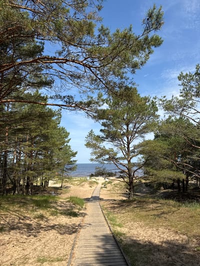 The image depicts a wooden boardwalk leading through a sandy area with scattered pine trees towards a body of water, likely the sea, under a partly cloudy blue sky. The boardwalk begins in the foreground and extends into the distance, curving slightly to the right. The sandy ground is interspersed with patches of green grass and pine needles. Pine trees line both sides of the path, with some branches extending over the boardwalk. In the distance, a sandy beach is visible, with a few indistinct figures on it and the calm water of the sea beyond. The overall impression is of a natural, coastal environment, typical of areas like Kalngale, Latvia, which is known for its pine forests and beaches along the Baltic Sea coast.