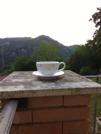 A close-up shot features a white teacup with colorful butterfly designs and its saucer resting on a weathered, textured stone surface. The surface appears to be a capstone on a brick pillar. In the background, a lush green mountainous landscape is visible under a bright, overcast sky. The mountains are covered in dense trees, and a distant communication tower can be seen on the left side of the frame. The scene suggests a serene, outdoor setting, possibly a balcony or patio overlooking a natural landscape in or around Valle Castellana, Italy. The lighting indicates it is daytime, likely morning or late afternoon due to the soft, diffused light.