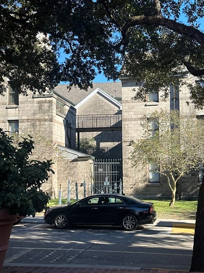 This image depicts the Federal Building / U.S. Court of Appeals for the Fifth Circuit, located at 600 Camp Street, New Orleans, Louisiana, United States. The scene is captured on a clear, sunny day, with strong, direct sunlight creating prominent shadows. The central subjects are two sections of a multi-story building constructed from large, light grey, rough-hewn stone blocks, featuring multiple rectangular windows with dark frames. These building sections are connected by an elevated, open-air pedestrian bridge with dark metal railings, spanning above a ground-level entrance. This entrance is secured by a tall, dark metal gate, and in front of it, several light-colored posts linked by chains form a low barrier. A dark-colored, four-door sedan, consistent with a black Chevrolet Malibu, is parked facing right on the asphalt street in the foreground, adjacent to a yellow curb. The top and left portions of the image are framed by the dense, dark green foliage and trunks of mature trees, likely live oaks, which cast dappled shadows across the pavement and the vehicle. A large, dark green potted plant is visible in the lower-left foreground. Green grass covers a lawn area directly in front of the building. No individuals are visible in the scene.