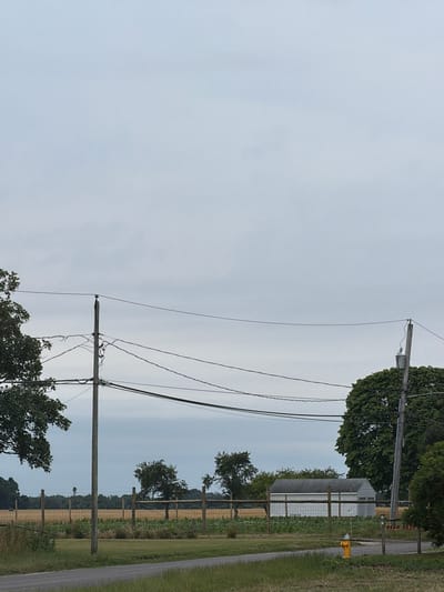 This media file depicts a rural roadside scene with power lines and vegetation. A wooden utility pole, a significant object in the frame, is positioned in the foreground. Several black power lines are strung between poles, some appearing taut and others sagging. Beyond the power lines, a long, low building with a gray roof and white siding is visible, possibly a barn or agricultural structure. A chain-link fence runs along the property line, enclosing a field with sparse vegetation. A bright yellow fire hydrant stands near the fence. A paved road runs along the right side of the image, bordered by a grassy verge. Trees with dense green foliage are scattered throughout the scene, some framing the building and others further in the distance. The sky is overcast, suggesting a cloudy day. The overall setting appears to be a rural area in the United States of America, likely Mattituck, given the provided location context. There is no visible text within the image. The scene is calm and devoid of any human presence or activity. The time of day is difficult to determine precisely due to the overcast sky, but it appears to be daytime.