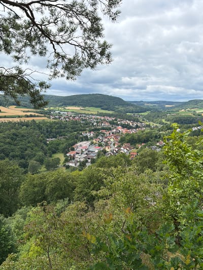 The image is a high-angle, full shot of a village nestled in a valley, taken from a wooded hillside. In the foreground, branches of a pine tree with needles frame the top left of the image, and lush green foliage of deciduous trees fills the bottom and right portions. The midground reveals a dense forest descending into the valley. Beyond the forest, the village of Heiligenstadt i. OFR., Germany, is visible, characterized by buildings with red-tiled roofs and some larger structures with white facades. A church spire is prominent within the village. The village is surrounded by rolling hills covered in forests and agricultural fields, with a road winding through the landscape. The sky is overcast with a mix of gray and white clouds. No people are visible in the scene.