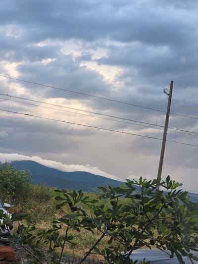 The image captures a serene rural landscape, viewed as if looking across a valley or open field towards mountains under an overcast sky. The sky dominates the upper portion, filled with a dynamic mix of dark and light gray clouds, through which soft, bright light penetrates, suggesting either early morning or late afternoon.
A sturdy wooden utility pole, equipped with multiple power lines, stretches horizontally across the middle of the frame. A small, light-colored fixture, possibly a lamp or piece of equipment, is attached near the pole's top.
In the foreground and midground on the right, a vibrant fig tree stands out with its large, lobed green leaves and several small, unripe green figs. Below and around the tree, the ground is covered in a dense mix of green and drier, straw-colored vegetation, including various bushes and grasses. A small section of a white vehicle, likely a car, is partially visible in the lower right corner, partially obscured by the foliage. A white tarp or cover is also faintly visible on the far right.
The background features majestic, dark blue-green mountains or large hills. Their upper slopes and peaks are partially veiled by a layer of light clouds or mist, adding depth and atmosphere to the scene.
The overall impression is one of a quiet, natural environment, possibly anticipating rain or experiencing a moment of calm between weather events. The scene is devoid of people and any discernible text. Given the context, this tranquil setting is located in Kalitinovo, Bulgaria.