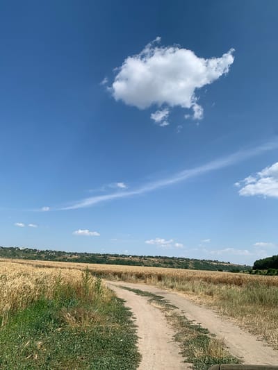 The image displays a rural landscape under a bright blue sky with scattered white clouds. A dirt path runs diagonally through the frame, bordered by fields of dry, golden grass or wheat on one side and a strip of green vegetation on the other. In the background, a hillside is covered with trees and dotted with houses, suggesting a small town or village. The overall scene depicts a sunny day in a rural area, possibly during late summer or early autumn when crops are ready for harvest. The lighting suggests it is daytime, likely mid-morning or afternoon. There are no people or specific objects of note, other than the natural elements and the path. The image conveys a sense of peacefulness and natural beauty, characteristic of a countryside setting. There is no visible text in the image.
