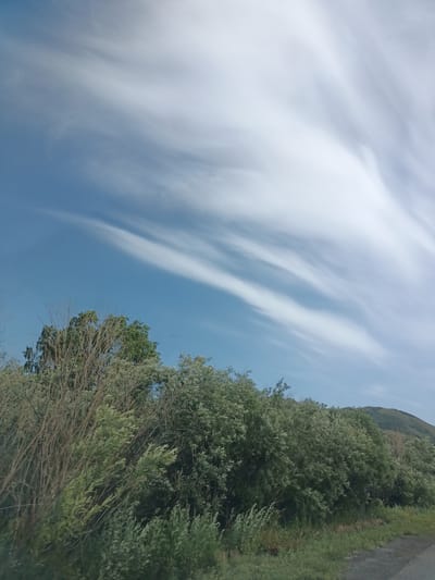 The image shows a landscape under a sky filled with wispy, streaky white clouds against a clear blue sky. In the foreground, a dense line of green foliage and trees stretches across the frame, with some bare branches visible on the left side. Beyond the trees, a gentle, rolling hill is visible in the distance. The overall impression is of a natural, undeveloped area, possibly a roadside or rural setting. There are no people, animals, or man-made structures immediately apparent in the scene, aside from the implied presence of a road at the bottom edge of the image. The location is identified as the city of Samar, Kazakhstan.