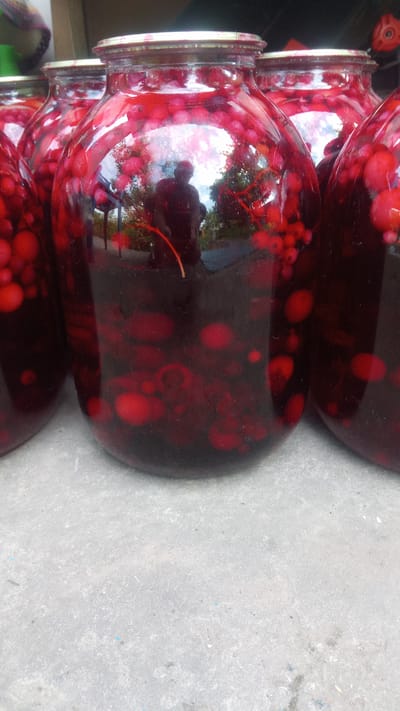 A close-up, eye-level, vertical shot shows a line of glass jars filled with a dark red liquid and red berries. The jars are positioned on a light gray concrete surface. In the reflection on the jars, a person is visible, appearing to be kneeling or squatting, with trees and a cloudy sky in the background. The scene suggests a home environment, possibly a yard or porch, in Pereiaslav, Ukraine. The jars are sealed with metallic lids. The focus is on the jars and their contents, with the concrete surface occupying the lower portion of the frame.