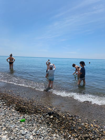 This image depicts a sunny day at a pebbled beach in Krinitsa, Russia. The sky is clear light blue with minimal, faint wisps of white clouds. The calm, blue-green sea extends to the horizon, where two dark, vertical posts are visible further out in the water on the right side. Small waves are breaking softly against the shore, creating a wet line on the beach composed of numerous grey, brown, and white pebbles.
Five individuals are present in the shallow water near the shore. On the far left, an adult woman with grey hair, wearing a black bikini, stands with her back to the viewer, hands on her hips, looking out at the sea. Her lower thighs are submerged. To her right, a young child wearing a light-colored t-shirt and light blue shorts with a white baseball cap worn backward stands facing away from the viewer, submerged up to the knees.
In the center, another child, shirtless and wearing dark swim trunks, faces the viewer while holding a dark, possibly rocky object aloft with both hands. This child is submerged approximately to the waist. To their right, a third child, wearing a dark swimsuit, is bent over, appearing to search or interact with the water, holding a thin, elongated object like a stick. This child is also submerged to the waist. On the far right, a fourth child, wearing a dark blue t-shirt and grey patterned swim trunks with a dark baseball cap worn forward, stands facing the viewer, submerged up to the knees.
On the pebbled beach in the foreground, a small, bright green plastic toy is visible.