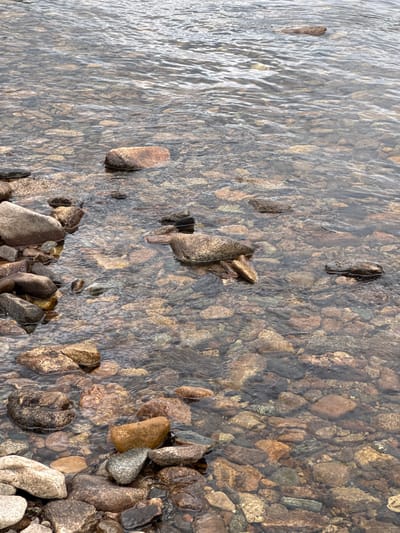 The image shows a close-up view of shallow, clear water flowing over a rocky riverbed. The rocks are of various sizes, shapes, and colors, predominantly brown, gray, and tan, with some reddish hues. The water is slightly rippled, creating reflections and distortions on the submerged stones. In the foreground, a cluster of larger, more angular rocks are visible at the edge of the water. The overall impression is one of a natural, untouched environment. The location is the Murtygit River in Murtygit, Russia. There are no people or animals present in the image.