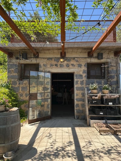 This is an exterior shot of a weathered building with a rustic, industrial aesthetic. The building's facade is constructed from dark, rough-hewn stones interspersed with patches of lighter, crumbling plaster, giving it an aged appearance. A large, open doorway reveals a glimpse of the interior, which appears to be a shop or workshop, with shelves stocked with various items and possibly people inside. Above the doorway, a large window with multiple panes is propped open, reflecting the surrounding greenery and sky.
To the left of the building, a metal pergola structure covered in vibrant green vines and leaves creates a shaded area. Rusted metal beams and wire mesh are prominent features of this structure, with string lights adding a decorative element. The vines are lush and healthy, indicating a warm climate.
In the foreground on the right, a large wooden barrel with metal bands sits on the ground, partially shaded by the building. The ground is paved with concrete, and the dappled sunlight and shadows suggest it is a sunny day.
The overall scene evokes a sense of a place that is both old and alive, with nature reclaiming parts of the structure. The setting appears to be a commercial establishment, possibly a winery, farm shop, or artisanal craft space, given the barrel and the shelves stocked with goods. The time of day is likely afternoon, with the sun casting long shadows. The location context provided is the Golan Regional Council in Israel. No discernible text is visible in the image.