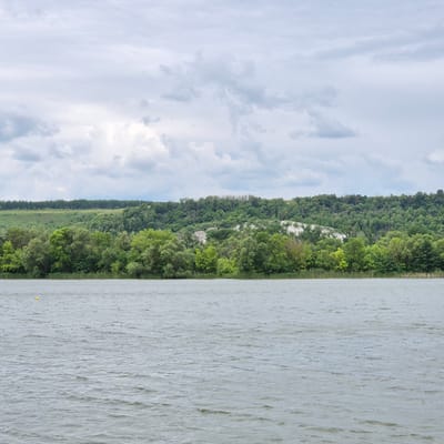The image depicts a landscape view of a wide river with a tree-covered hillside in the background under a cloudy sky. The river occupies the lower half of the frame, with visible ripples on its surface, suggesting a slight breeze. A single yellow buoy is present in the water in the lower left quadrant. The far bank of the river is lined with a dense growth of green trees, interspersed with some lighter patches that appear to be exposed rock or chalk cliffs. Behind the trees, the hillside rises and is also covered in vegetation, with a lighter strip of exposed land visible further up. The sky is overcast with large, grey clouds, creating a muted light. There are no people or man-made structures visible in the scene. The location is identified as a riverbank near the city of Liski, Russia.