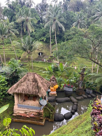 The scene depicts a lush, tropical valley in Tegal Suci, Indonesia, characterized by dense vegetation and terraced rice paddies under an overcast sky. In the foreground, a traditional Balinese-style structure with a thatched roof and light-colored stone base stands partly over a dark, still body of water. Black and white checkered fabric (poleng) is draped around its lower portion, and a poleng umbrella is next to it. Adjacent to this, within the water, are several smooth, dark, rounded stones, a smaller ornate structure adorned with orange fabric and poleng, and a gnarled tree stump also wrapped in poleng. The immediate right foreground shows a steep, vegetated slope with red and green foliage.
The midground features extensive green rice terraces climbing the valley slopes, interspersed with numerous tall palm trees and other tropical plants. A winding path is visible among the terraces. In the background, carved into a natural hillside amidst the vegetation, is a large, moss-covered stone face with a wide-open mouth. One individual, dressed in white, stands inside the mouth of the carved face, arms raised. Below this carving, a group of approximately 10-15 people, some in white attire, are gathered on a path. Additional indistinct figures are present on distant paths within the rice paddies.