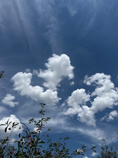 An outdoor, eye-level, full shot photograph captures a bright, partly cloudy blue sky. In the foreground, branches of a cherry tree with green leaves and ripe red cherries are visible, silhouetted against the sky. The branches extend from the bottom of the frame upwards. Several fluffy, white cumulus clouds are scattered across the sky, with some wispy cirrus clouds also present. The scene appears to be set in Qarabulaq, Kazakhstan, during daylight. There are no people or animals in the image.