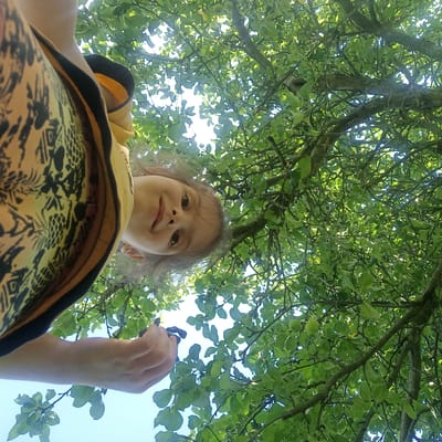 The image shows a low-angle shot of a young girl and a tree in Tornovoye, Russia. The girl, with light brown hair and dark eyes, is smiling and looking up at the camera. She is wearing a yellow top with a black and gold patterned design. Her hand is reaching up towards a branch of the tree. The tree is full of green leaves, and there are a few small green fruits visible. The sky is visible through the leaves. The overall impression is that of a bright, sunny day.