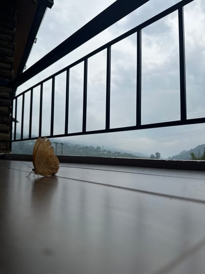 A butterfly rests on a white wall adjacent to a window with black bars, reflecting the sky and mountains, likely in the vicinity of Tả Van, Vietnam.