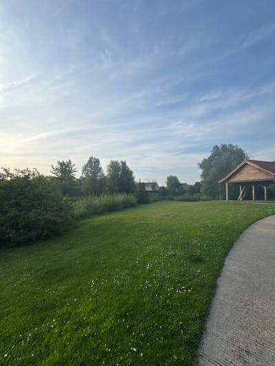 The image shows a paved walkway curving through a grassy field dotted with small white flowers. To the right, a wooden open-air shelter with a gabled roof and visible support posts stands adjacent to the walkway. The field is bordered by a line of trees and lush green foliage. In the distance, the roofs of buildings are visible through the trees, suggesting a semi-rural or suburban setting. The sky above is a pale blue with wispy white clouds. The scene appears to be an outdoor recreational area or park.