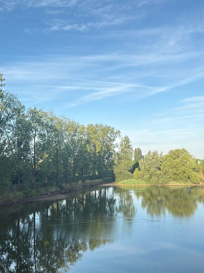 The image depicts a serene natural scene at the dike of the Maas river in Druten, Netherlands. The foreground is dominated by the calm water of the river, reflecting the lush green trees lining its bank and the clear blue sky above. Wispy white clouds are scattered across the sky, adding depth and texture. On the left bank, a dense line of tall, leafy trees stands prominently, their reflections creating a mirror image in the water. The right bank features a more varied landscape with bushes and a variety of trees, also mirrored in the river. Two small, dark objects, possibly birds or ducks, are visible in the water, creating ripples as they move. The overall impression is one of tranquility and natural beauty.