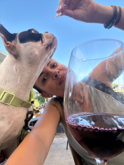 The media file is a close-up, low-angle selfie taken outdoors, presumably in the Golan Regional Council, Israel, on a clear day. The primary subjects are a woman and a dog, with a glass of red wine prominently featured. The perspective suggests the photo is taken from a low vantage point, possibly from the dog's eye level, looking upwards.
The woman's face is partially visible, looking directly at the camera. She is wearing a dark necklace and a gold-colored bracelet. Her arm, adorned with a multi-strand bracelet with turquoise beads, is also visible, holding a piece of food above the dog. The glass of red wine is held in a way that it is tilted towards the camera, with the dark red liquid sloshing against the rim, creating small bubbles. The top of the glass reflects the sky and some blurry background elements that might be trees or other vegetation.
The dog, a white and black pit bull-type breed, is positioned in the foreground, looking upwards with its mouth slightly open, seemingly interested in the food being offered. It is wearing a light green collar.
The overall impression is a casual, candid moment shared between the woman and her dog, possibly during a relaxed outdoor gathering or activity. The bright sky suggests it's daytime, likely late morning or afternoon. The image captures a sense of connection and shared enjoyment. No visible text is present in the media file.