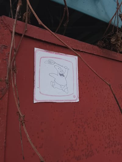 A photograph shows a red, weathered metal surface, possibly a shed or container, onto which a white square sticker is affixed. The sticker depicts a line drawing of Patrick Star, a character from the animated television series Spongebob Squarepants, holding a net. The sticker has a light pink border. Dried vines are partially obscuring the metal surface and the sticker, hanging from the top and sides. The location is Высокиничи, Russia.