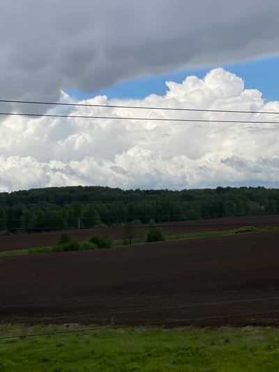 The scene depicts a landscape with a division between sky and land. The sky features layered cumulus clouds against a blue backdrop on the left and a dark, overcast area on the opposite side. Power lines stretch across the sky from top to bottom. The land consists of a dark, presumably plowed field, bordered by a strip of dense green forest. Adjacent to the field, a grassy area runs along the bottom edge. The image is taken from a low angle and has been rotated, placing the horizon vertically. The location, Кокино, Russia, is not visually verifiable from the image's features.